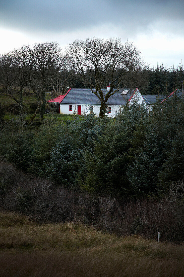 Painted cottage in winter landscape County Claire Ireland