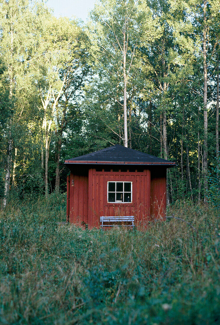 Außenansicht eines Landhauses aus Holz inmitten von Bäumen und Sträuchern