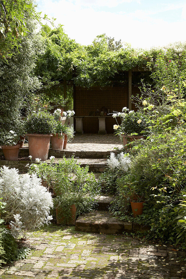 Pflanzgefäße am oberen Ende einer Treppe im Garten mit Hecke