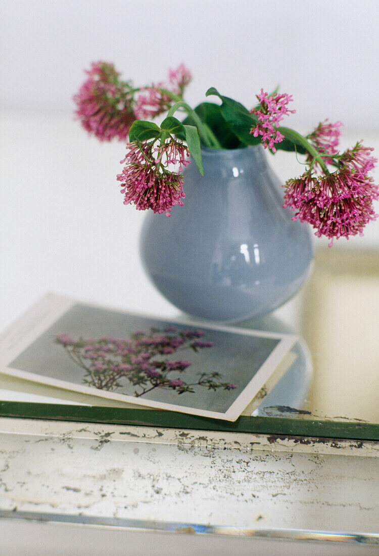 Rosa Blumen in einer blauen Keramikvase