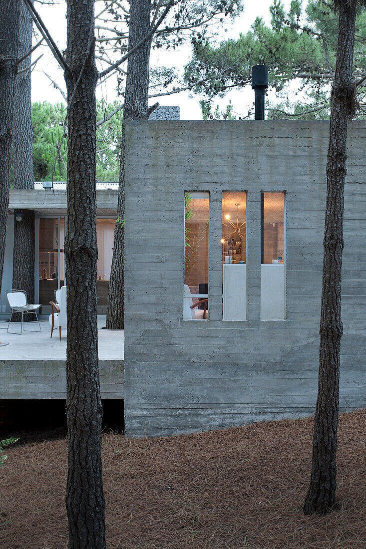 Modern concrete home in woodland, Argentina