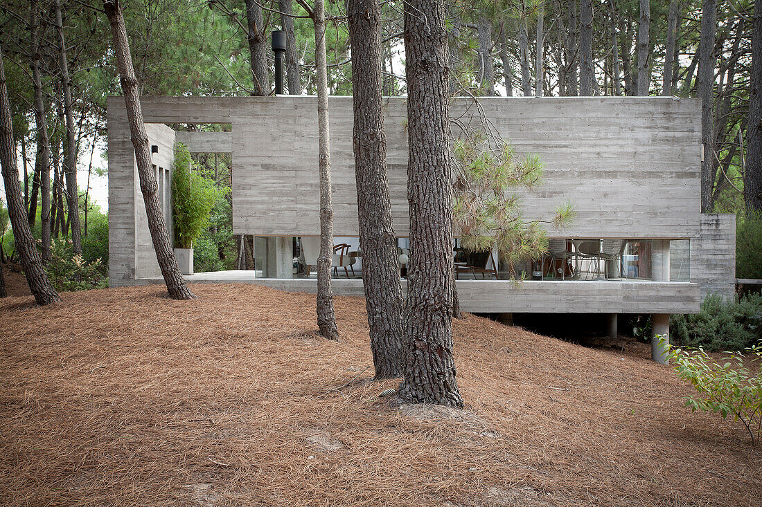 Modern concrete home in woodland, Argentina