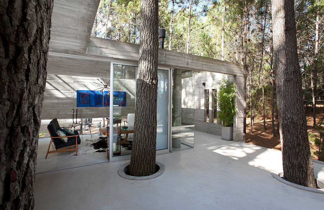 Modern concrete home in woodland, Argentina