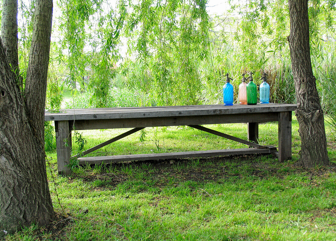 Colourful soda siphons on a wooden garden table in garden with vibrant green foliage