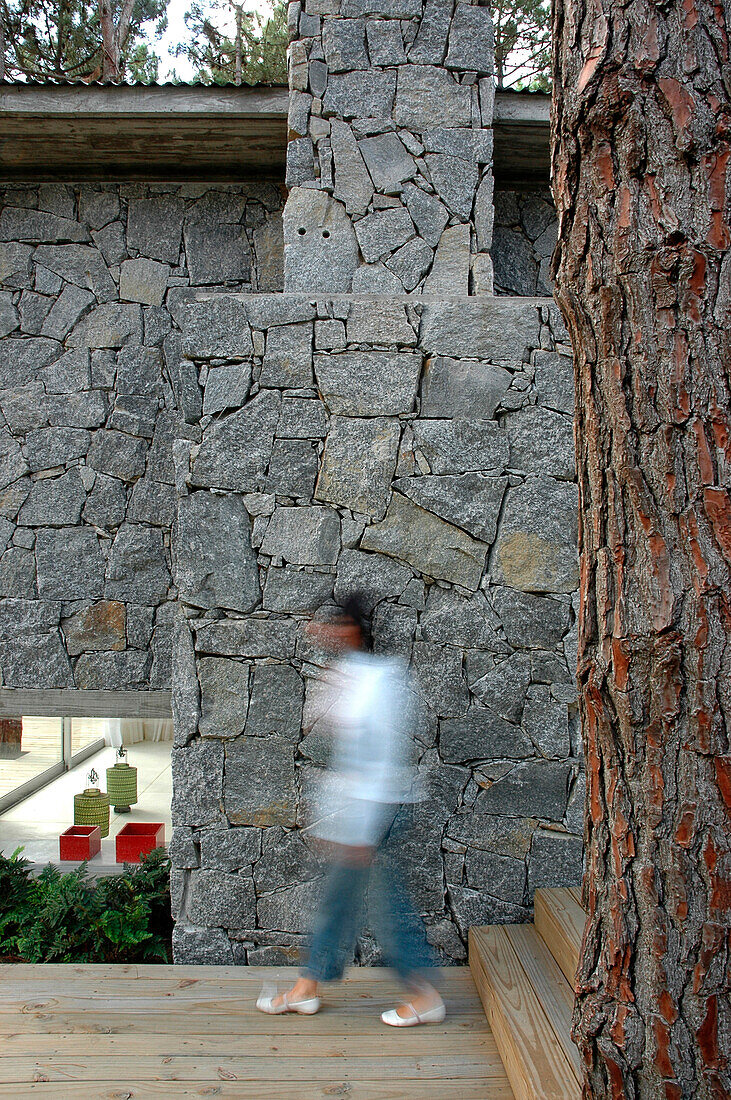 Detail of textured grey stone exterior wall of modern woodland house mirrors the texture of bark on a tree trunk