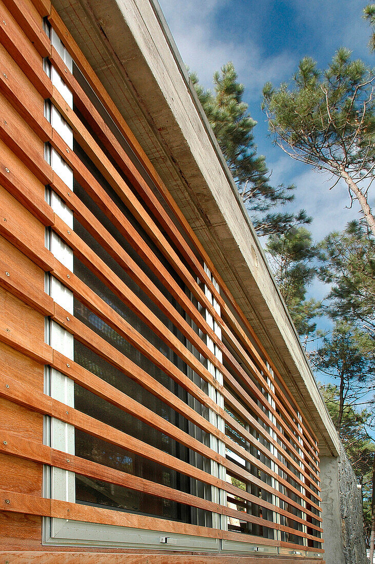 The Lapacho wood cladding chosen for the exterior of the kitchen and the entrance of the home gives unique warmth to the house