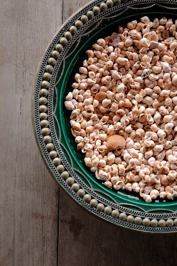 Tiny seashells in ceramic green bowl