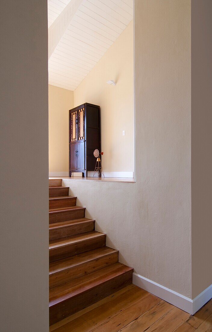 Uruguay, modern home interior with wooden steps