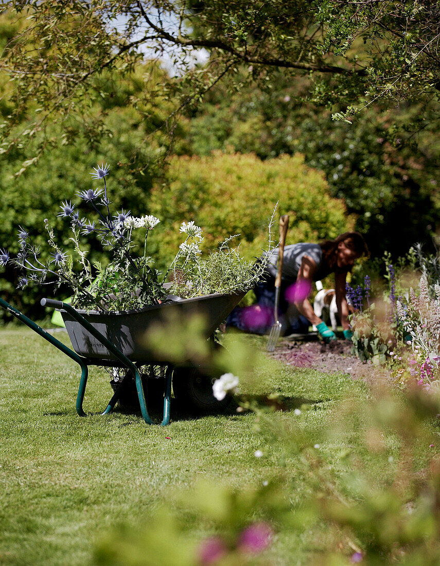 Woman gardening in grounds of 17th century Oxfordshire house