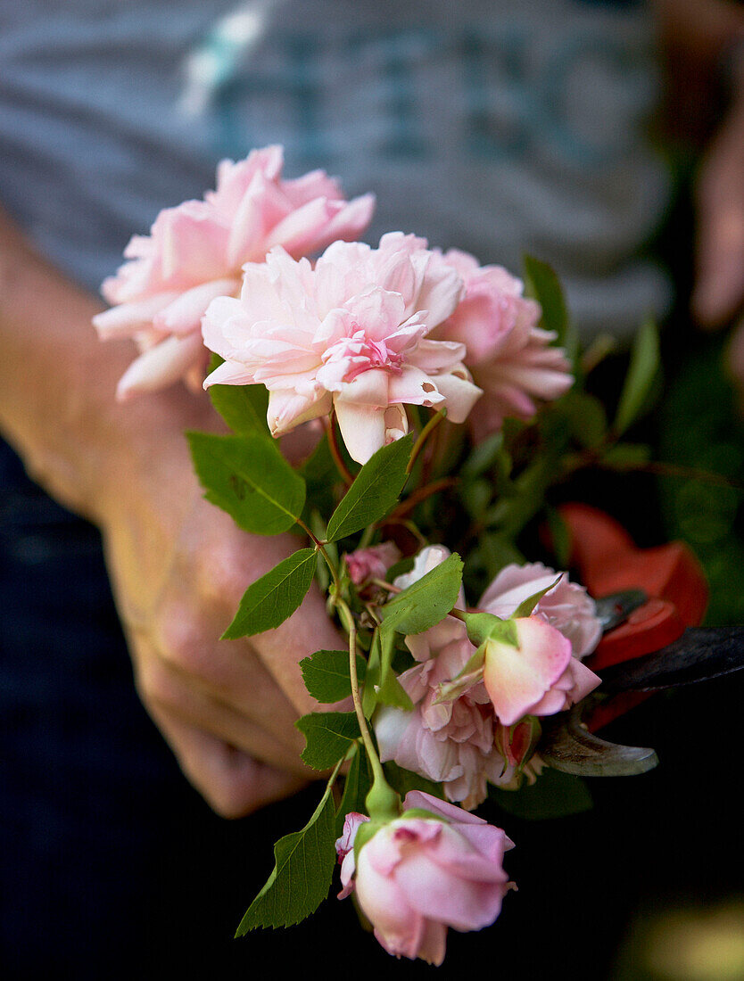 Person mit Blumenköpfen und Gartenschere