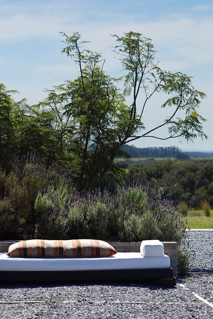 Outdoor lounge chair in backyard of modern luxury farm house, Uruguay