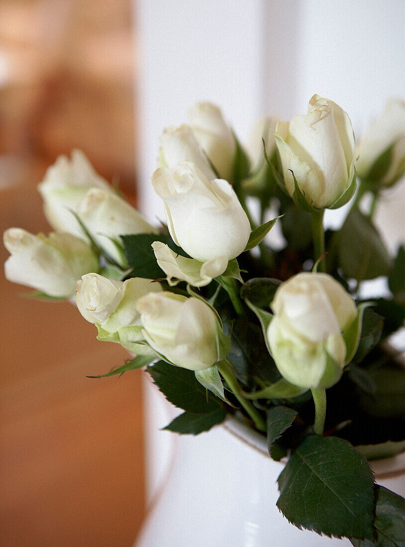 Detail of jug of white roses
