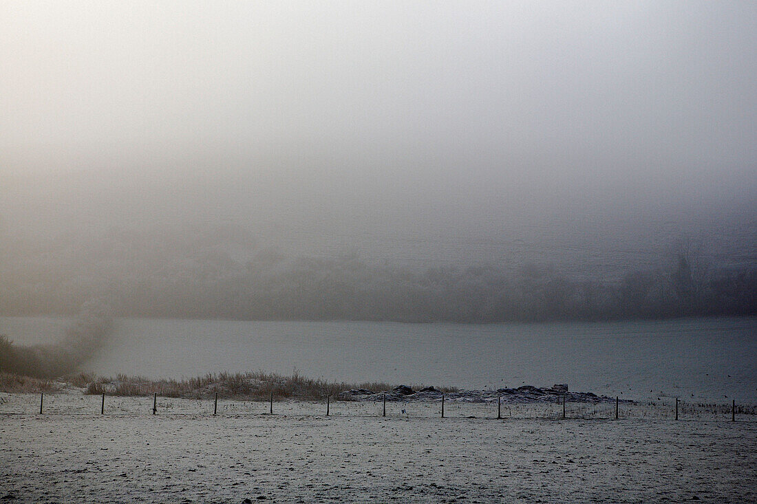 Morning frost in Dorset landscape