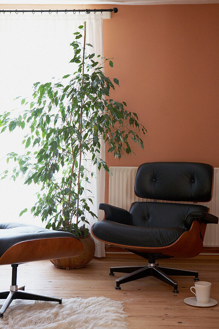 Charles-Eames-Sessel und Fußhocker aus schwarzem Leder mit Zimmerpflanze vor einem sonnendurchfluteten Fenster