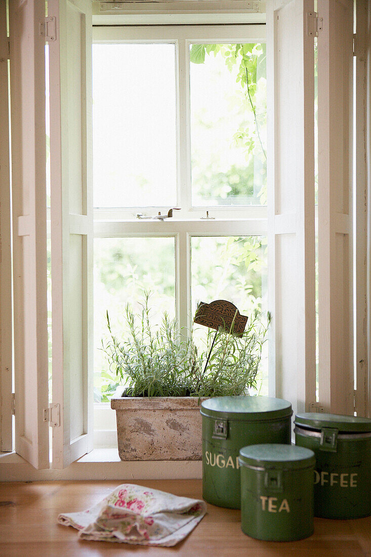 Rosemary in window box with storage tins 