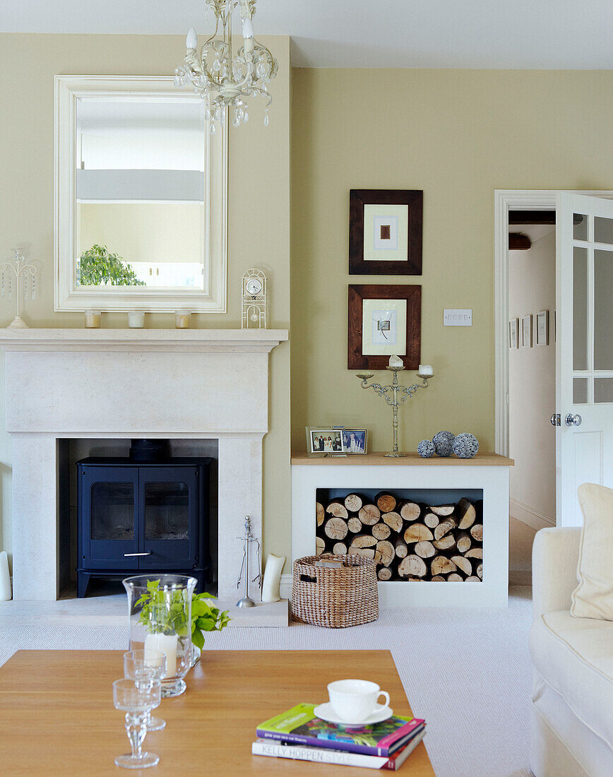 Wood burning stove in living room with log storage unit