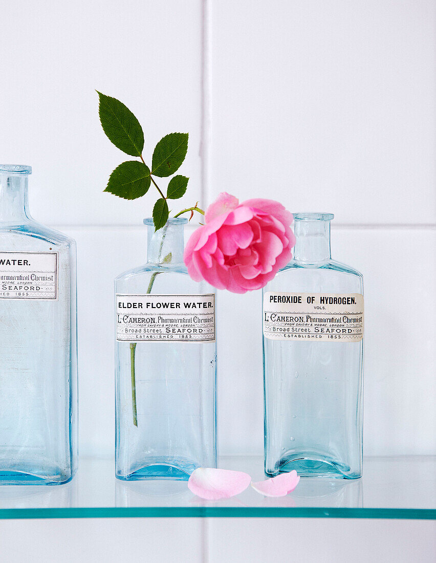 Single pink rose in glass vase on shelf