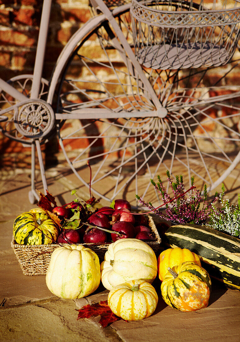 Old fashioned bicycle and autumnal fresh vegetables including pumpkins sunlight