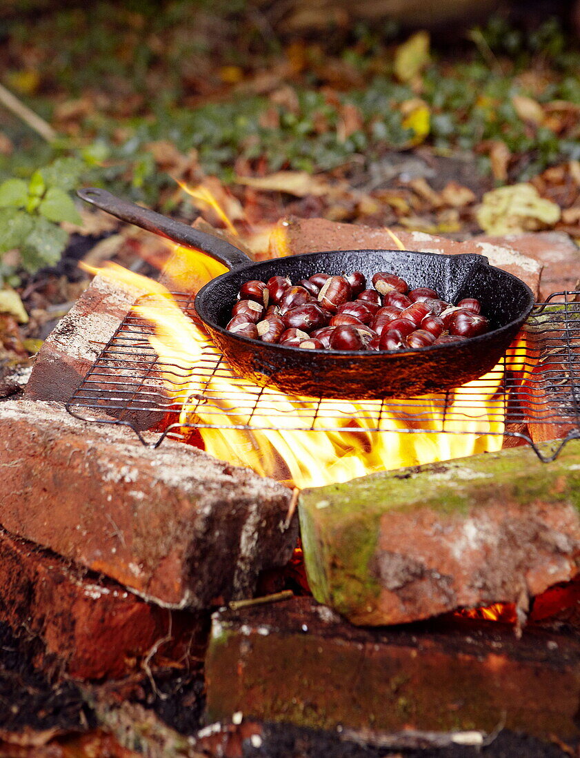 Kastanien (Castanea) beim Kochen auf offenem Feuer Essex England UK