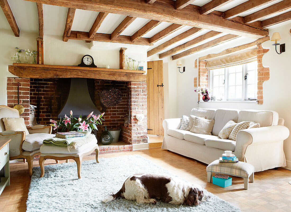 Hund schläft auf einem Teppich im Wohnzimmer mit Kamin in einem Bauernhaus in Surrey, England, UK