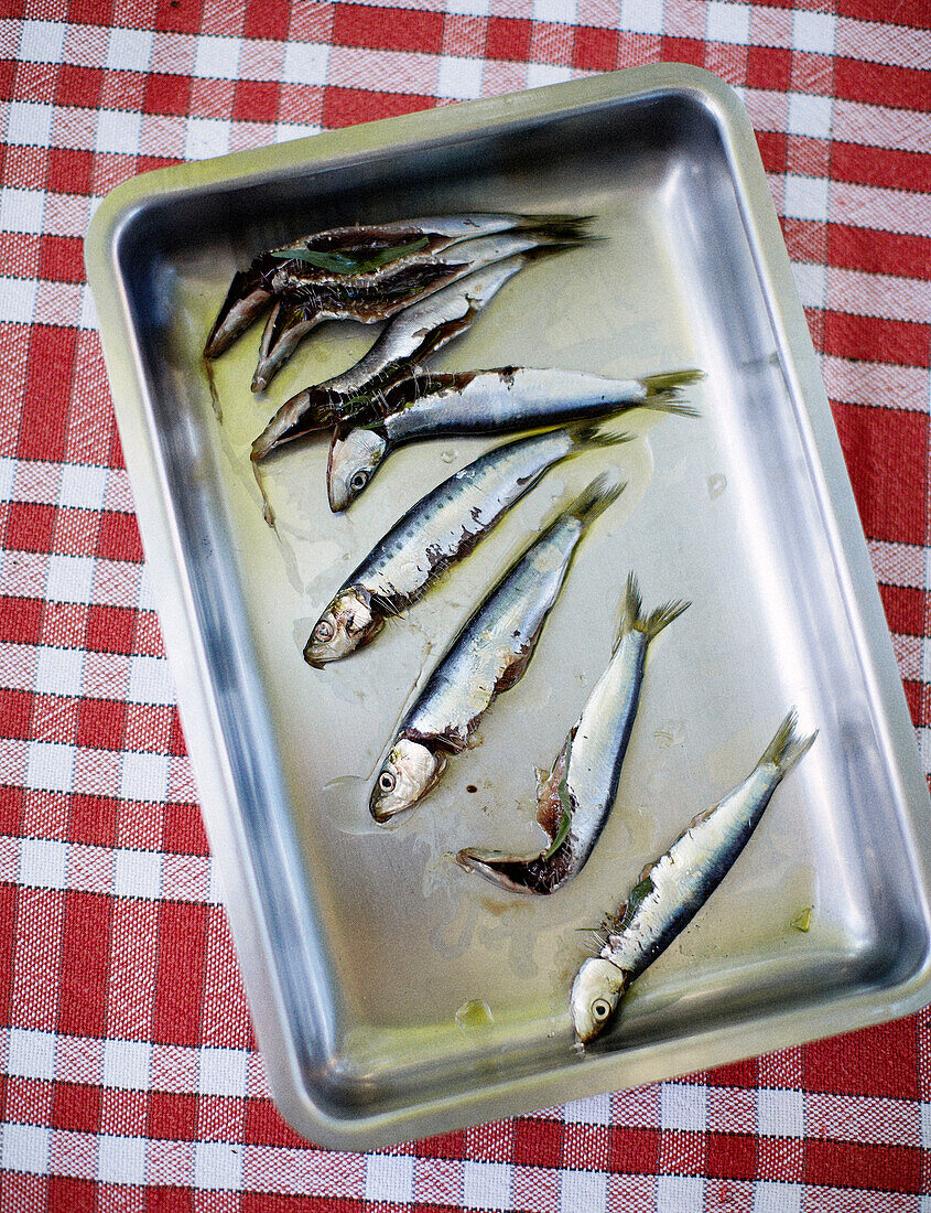 Sardines in baking tray on red checked tablecloth Brittany France