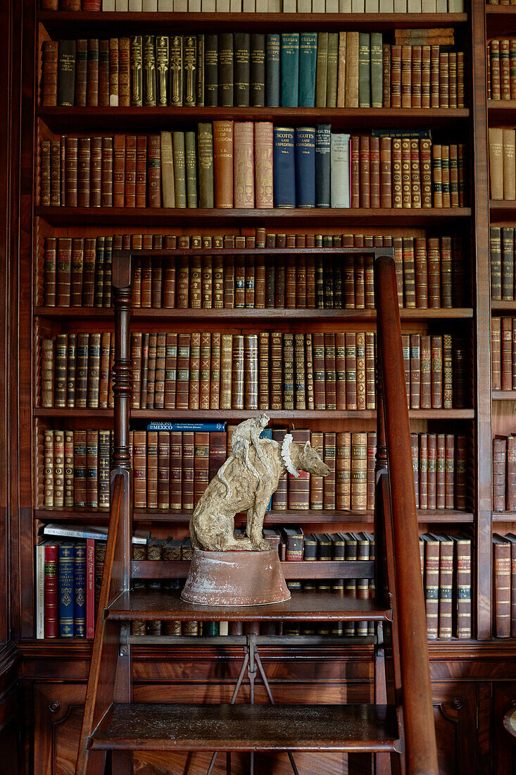 Tierstatue auf polierter Holzleiter in der Bücherei von Capheaton Hall in Northumberland, UK