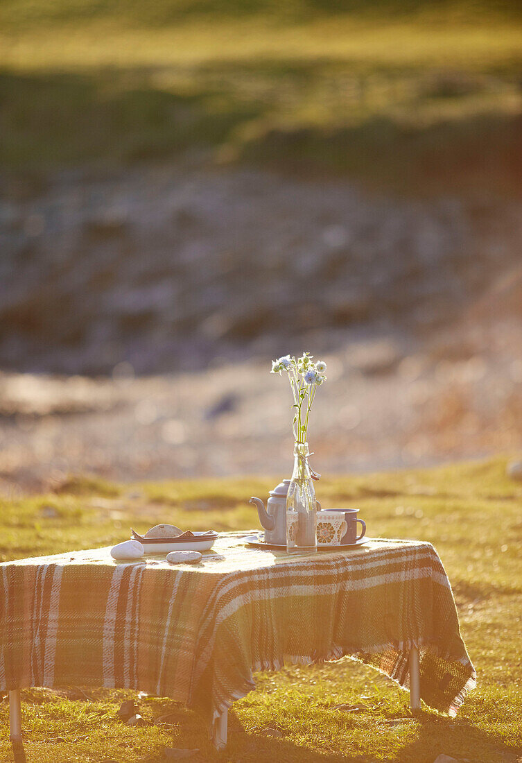 Schnittblumen und Teekanne auf einem Campingtisch mit Tartantuch in der Grafschaft Sligo in Connacht, Irland