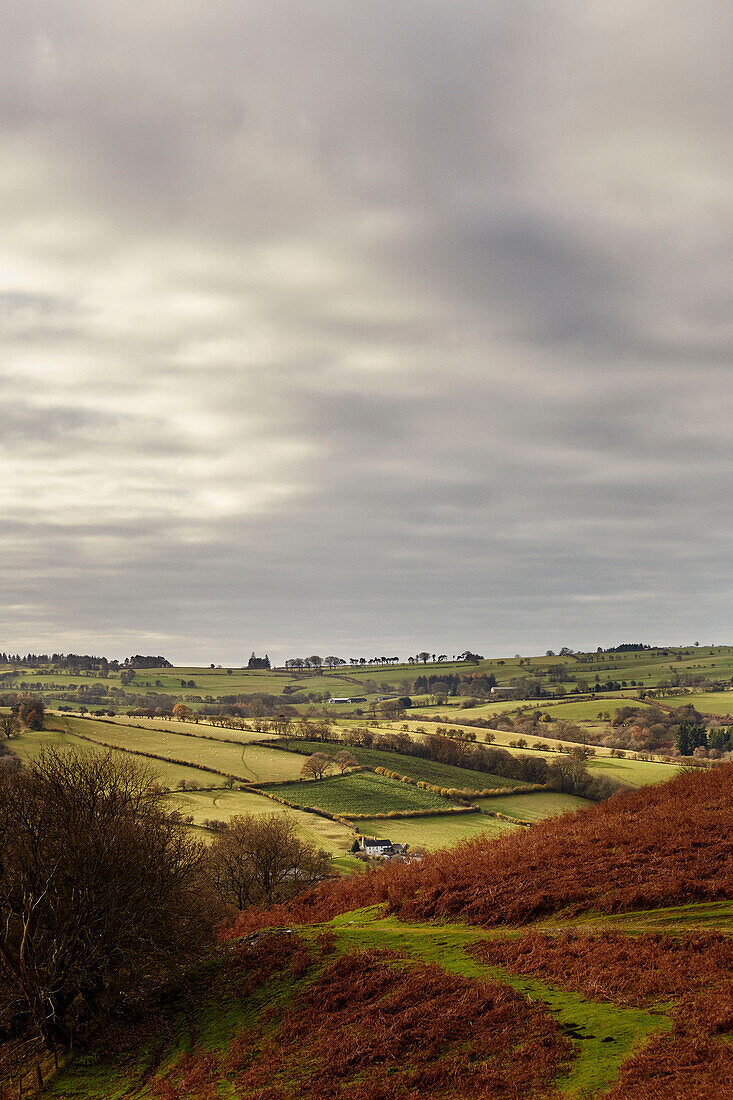 Offa's Dyke Path in Gladestry an der Grenze zu Südwales