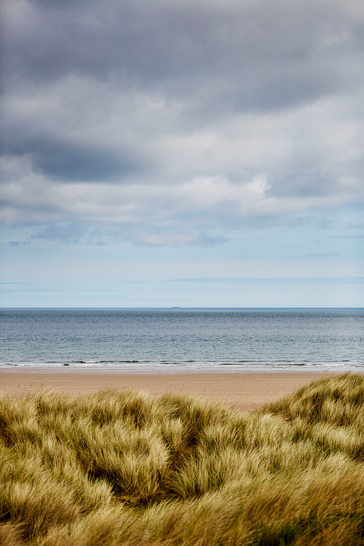 View to sea in coastal Northumberland, UK