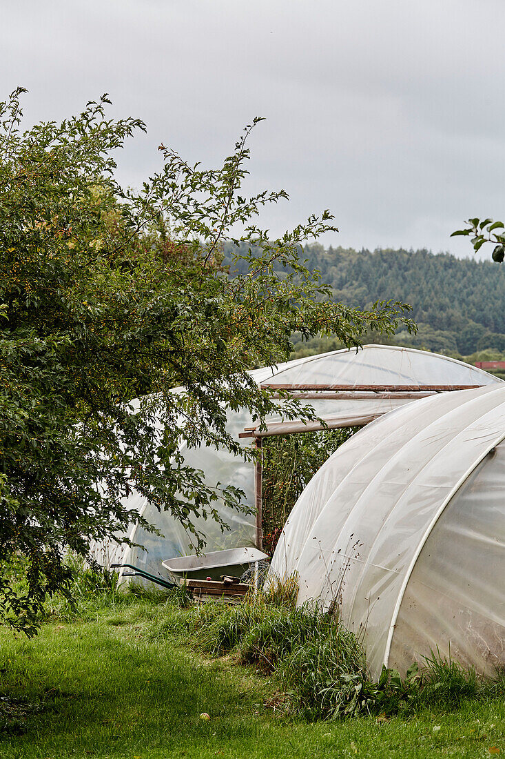 Schubkarre vor einem Polytunnel im Garten des Old Lands Kitchen in Monmouthshire, UK