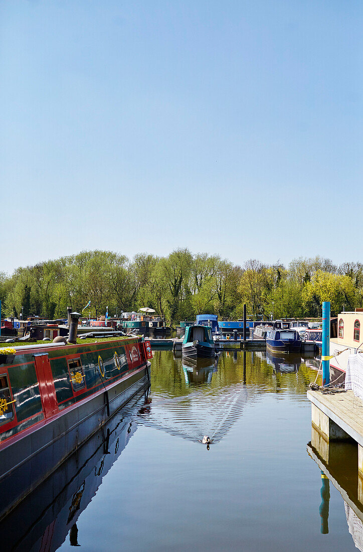 Narrowboats moored in Bedford marina, UK