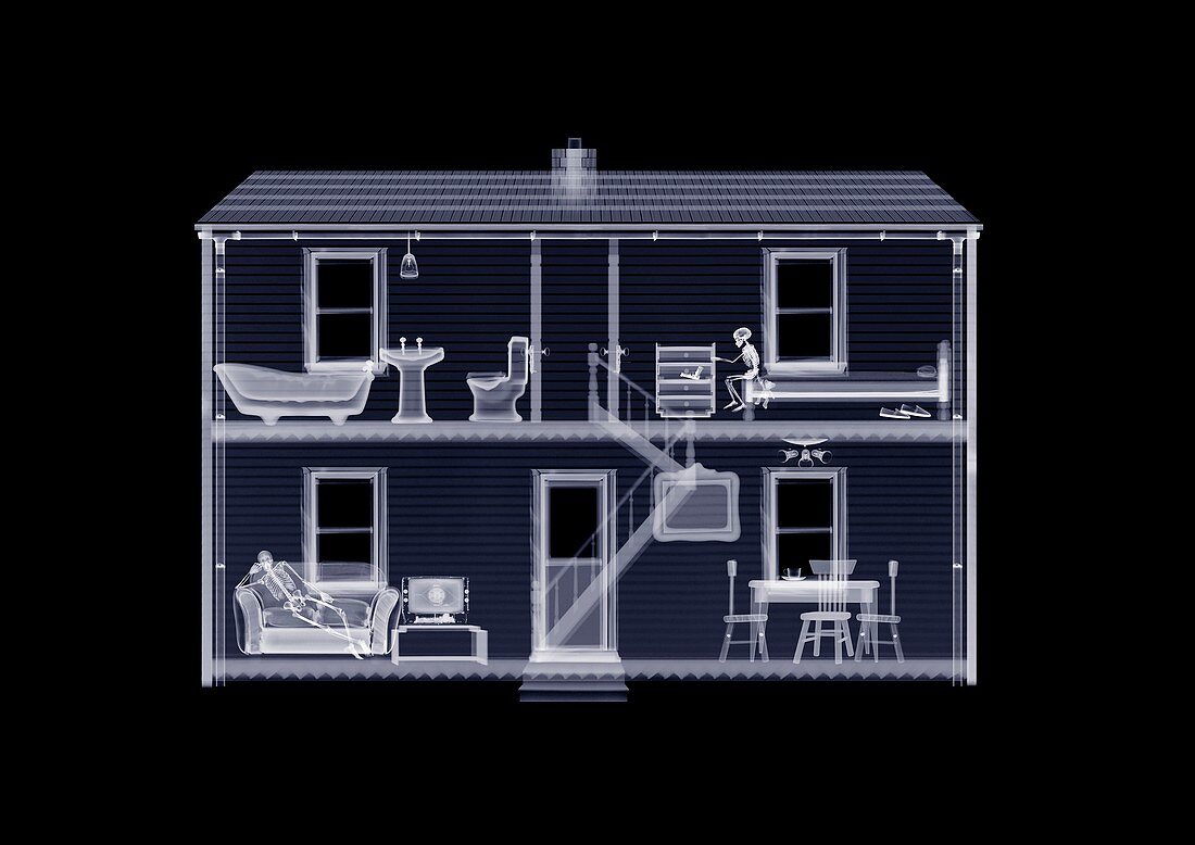 Doll's house from front, X-ray