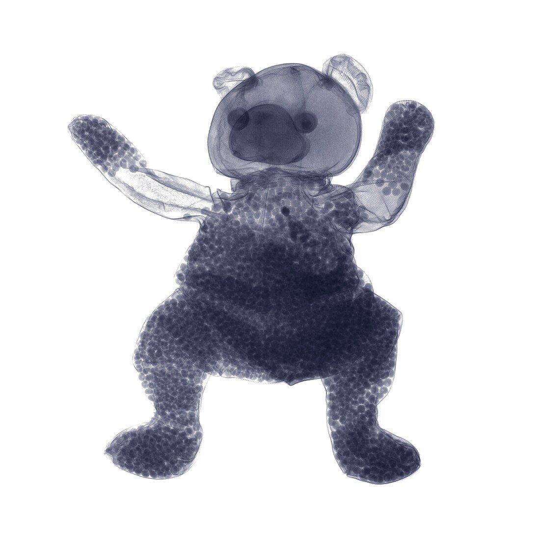 Beanie teddy bear, X-ray
