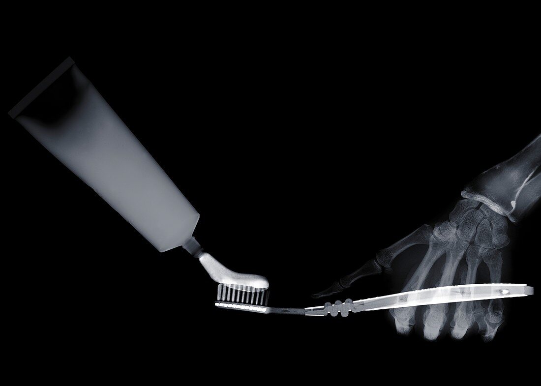 Hand holding toothpaste and toothbrush, X-ray