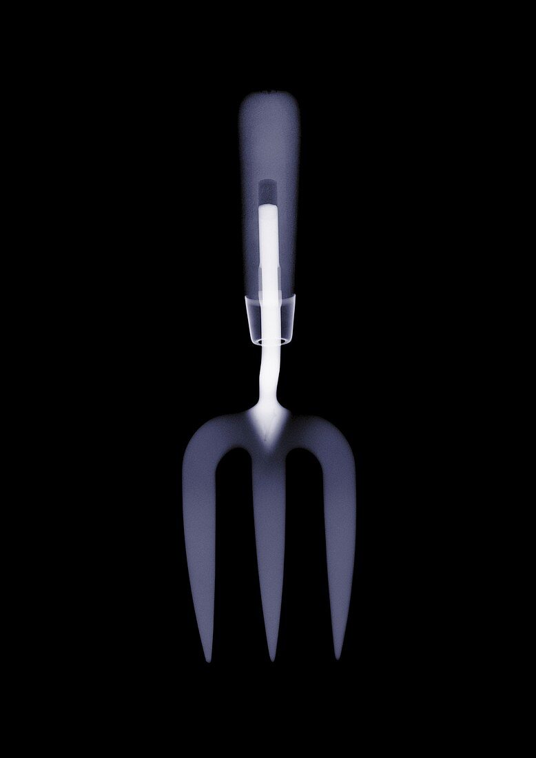 Gardening fork, X-ray