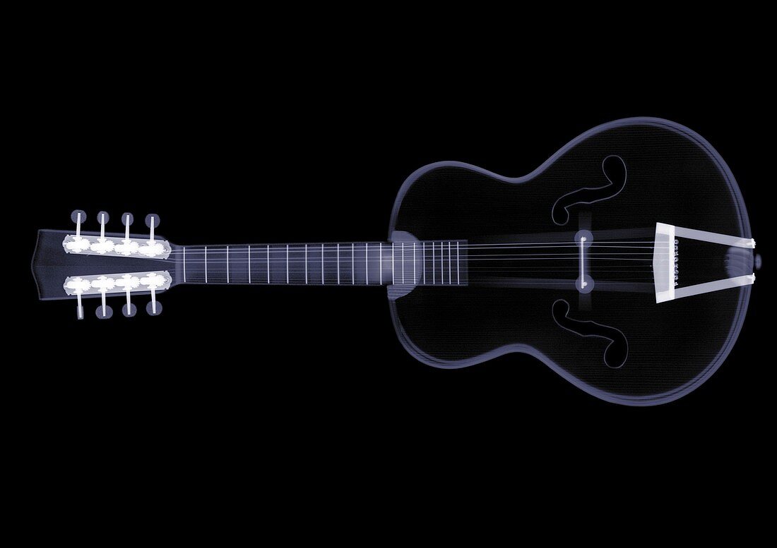 Eight string guitar, X-ray