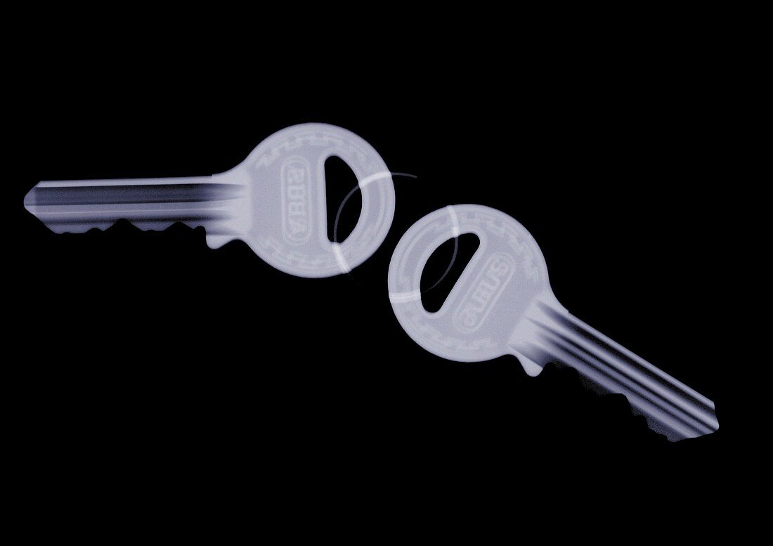 Pair of keys, X-ray