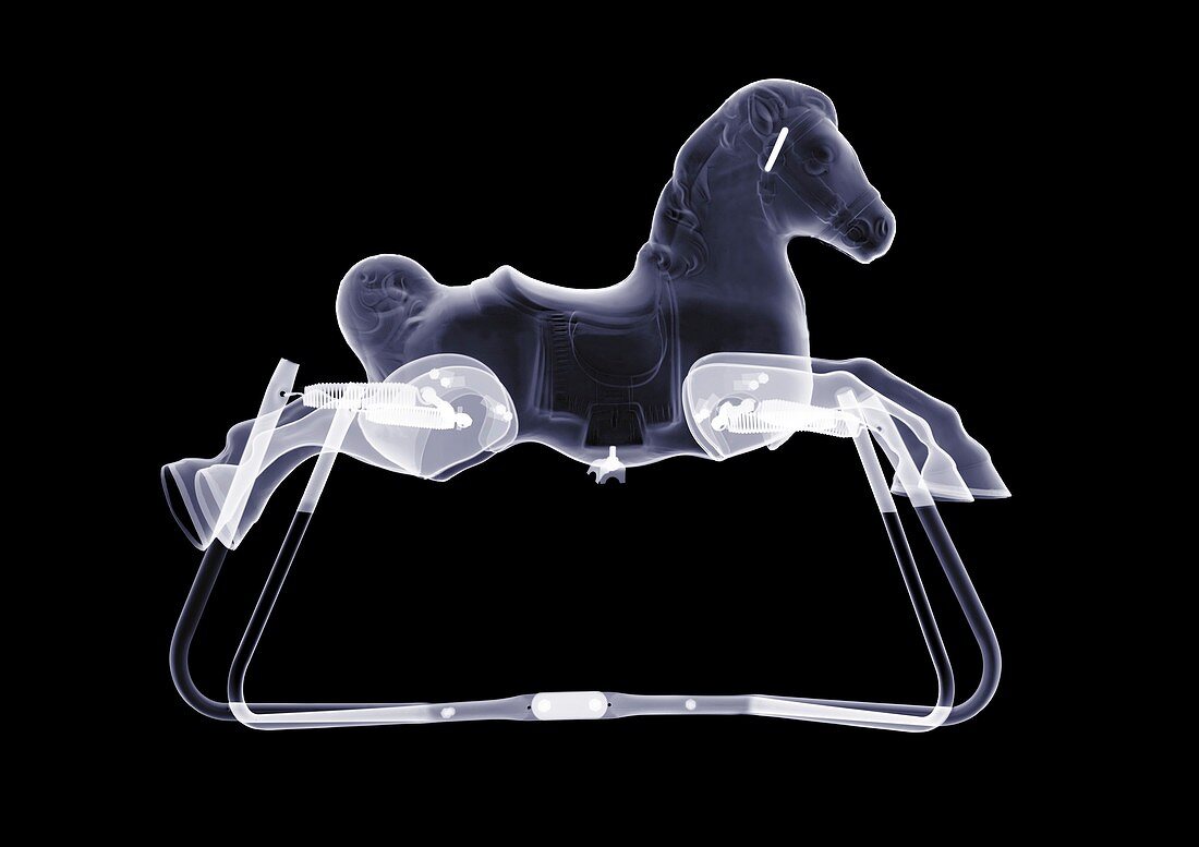 Rocking horse, X-ray