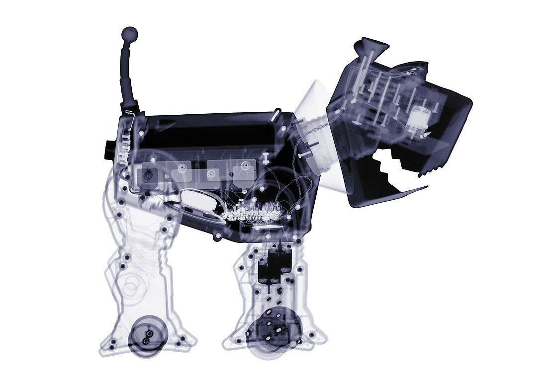 Electronic toy dog, X-ray
