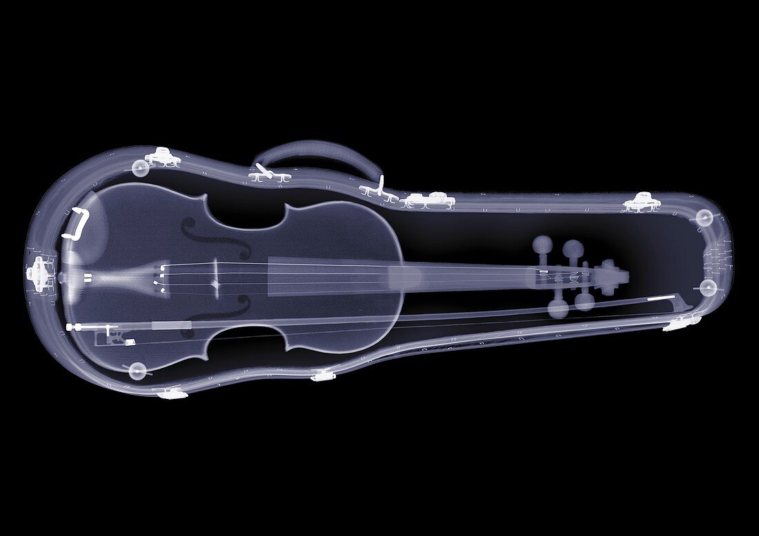 Violin in a case, X-ray