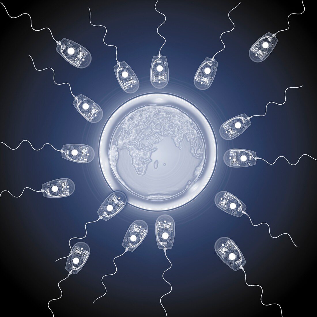 Sperm and egg, conceptual X-ray