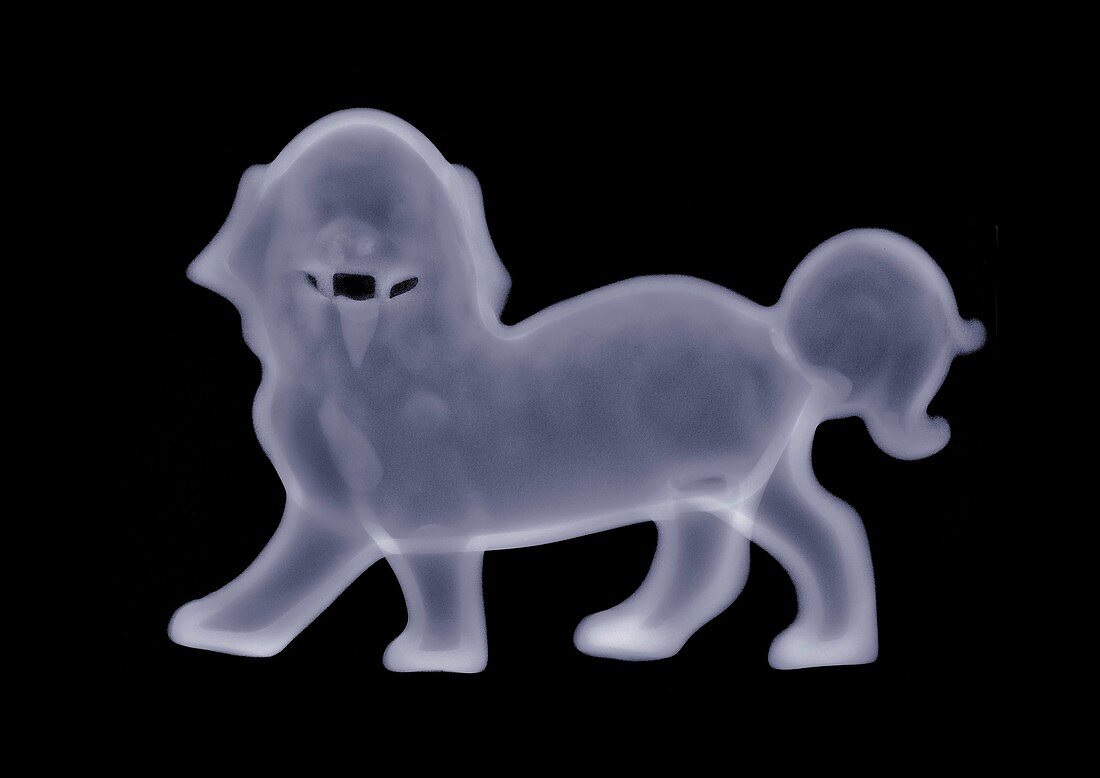 Statue of a dog, X-ray