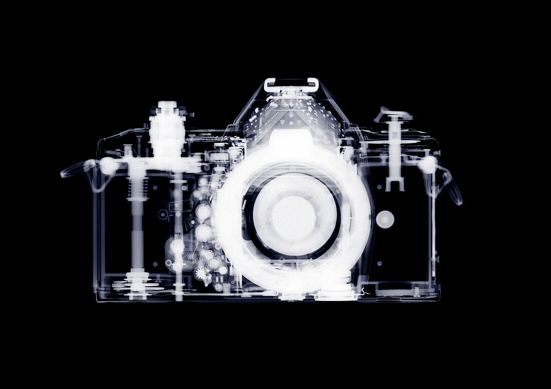 35mm SLR camera, X-ray