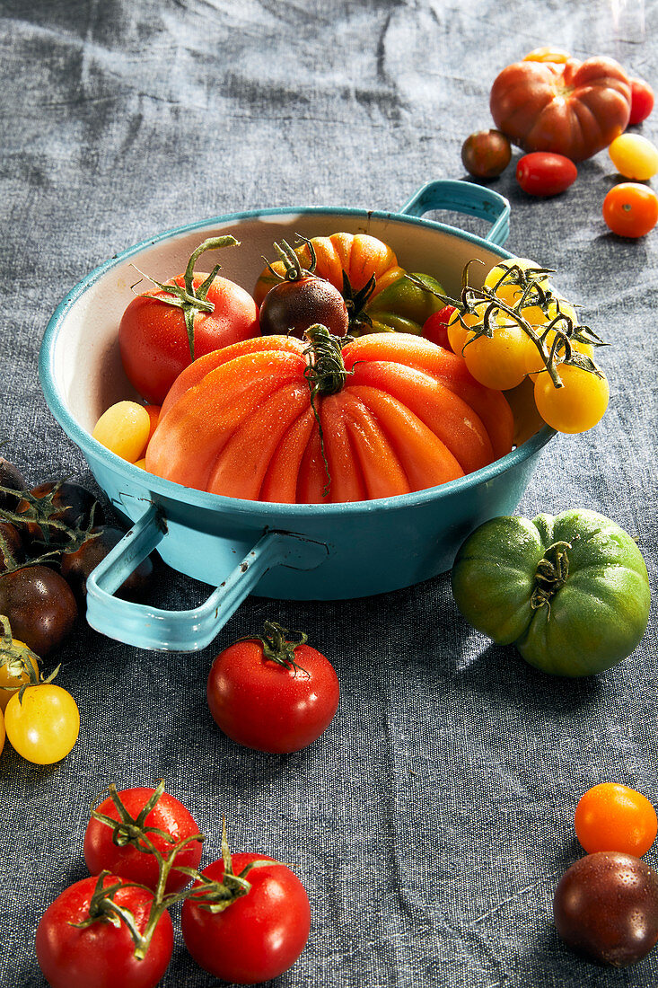 Various colourful tomatoes with an enamel colander on a tea towel