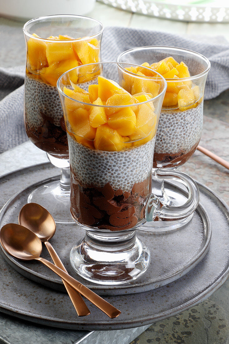 Schokoladen-Chia-Pudding mit Mango