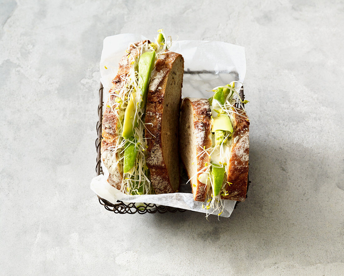 Vegan avocado sandwich with beansprouts