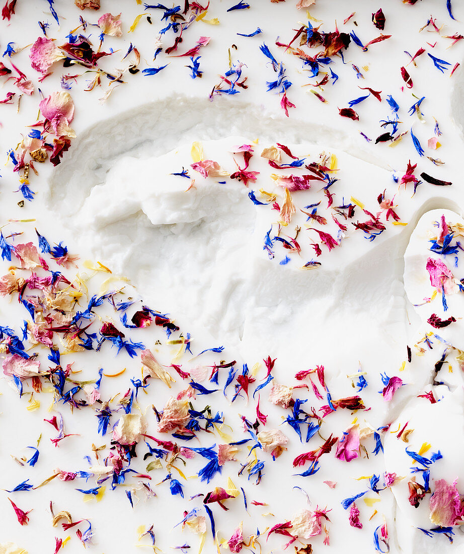 Vegan coconut jelly with edible flowers, close-up