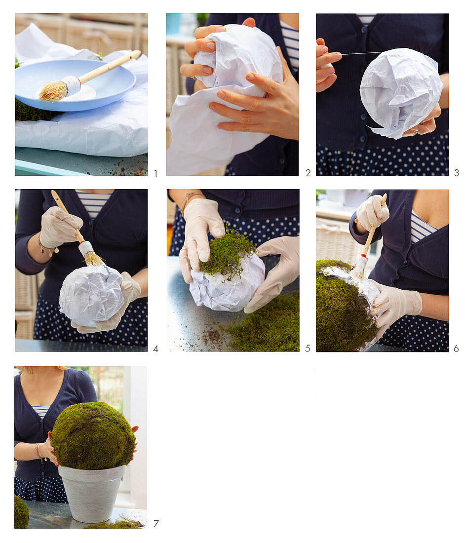 Instructions for making moss balls
