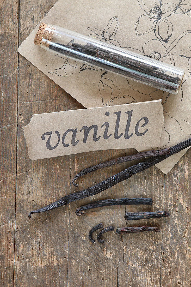 Vanilla pods in a jar with a label and botanic sketches