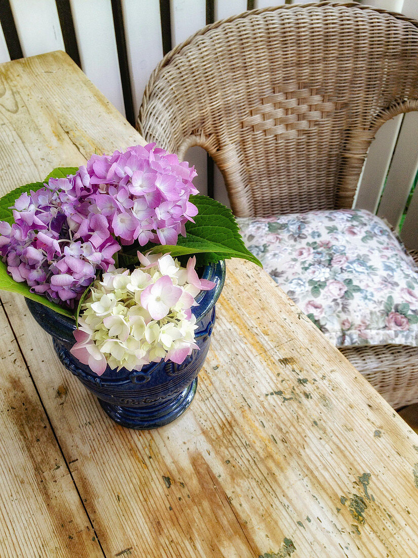 Hydrangeas in a blue bucket